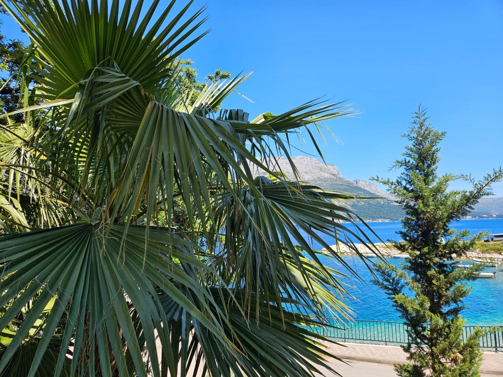 Villa Jade Apartments Front Row Sea View - Walk To Korcula Old Town Medvinjak Exterior foto